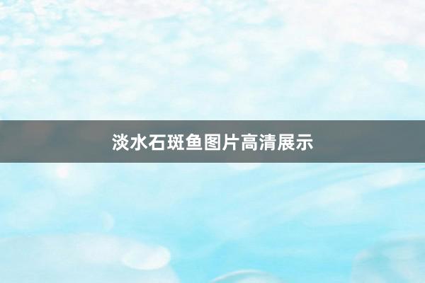 淡水石斑鱼图片高清展示
