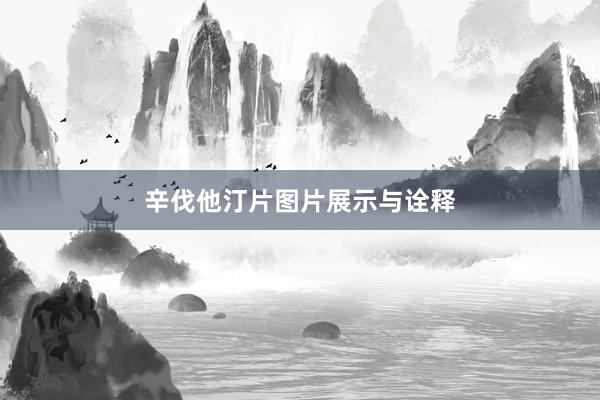 辛伐他汀片图片展示与诠释