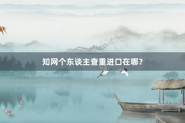 知网个东谈主查重进口在哪？